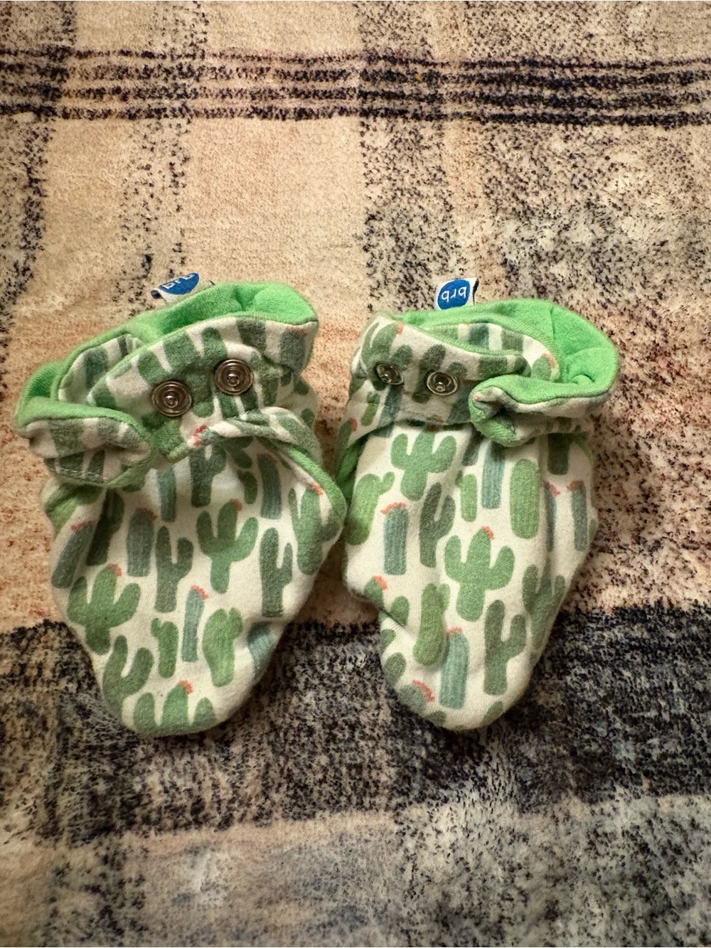 Bird Rock Baby Green Cactus Print Baby Booties
